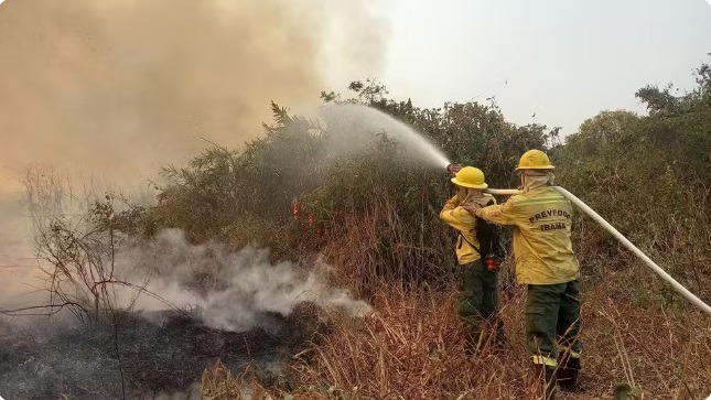 Em 10 dias, Pantanal já tem o dobro do total de incêndios de setembro de 2023