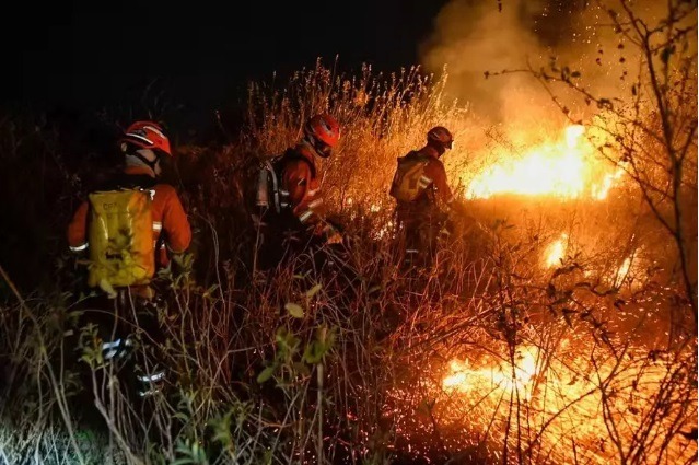 Pantanal e Amazônia enfrentam piores incêndios em quase 20 anos, diz órgão