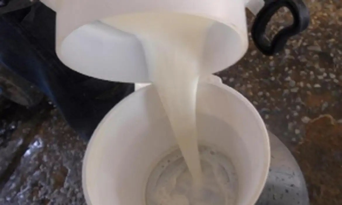 Beber leite é um bom truque para quem se exercita? Entenda benefícios