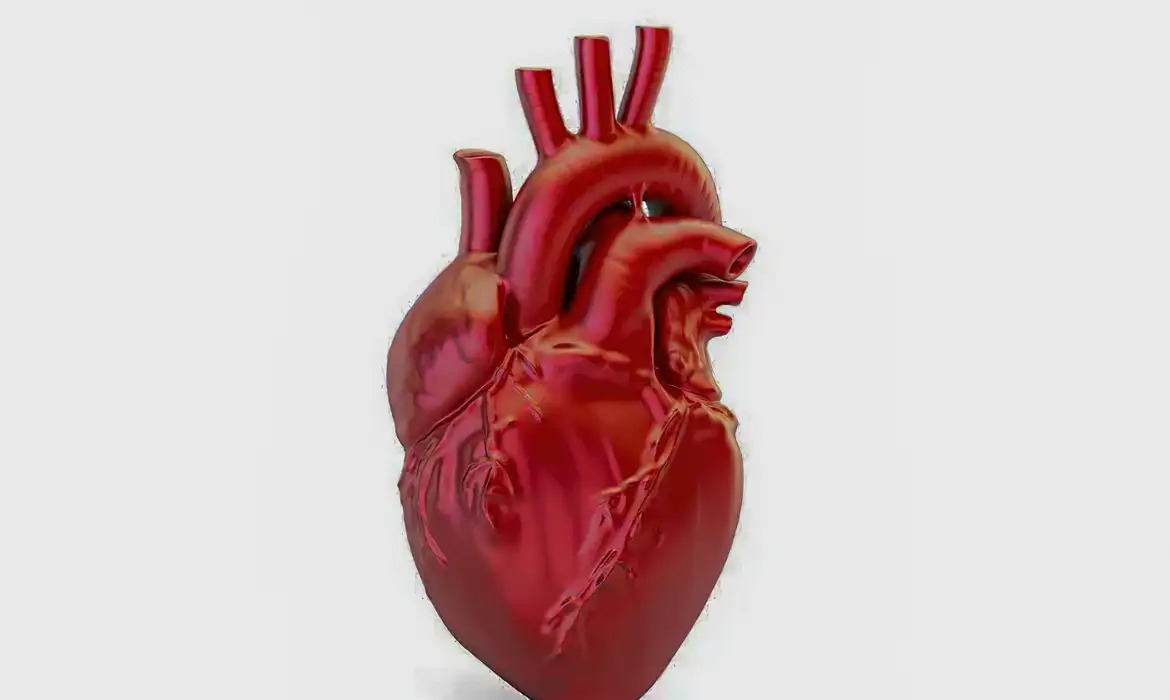 Doenças cardiovasculares matam 400 mil brasileiros por ano; saiba fatores de risco e como prevenir