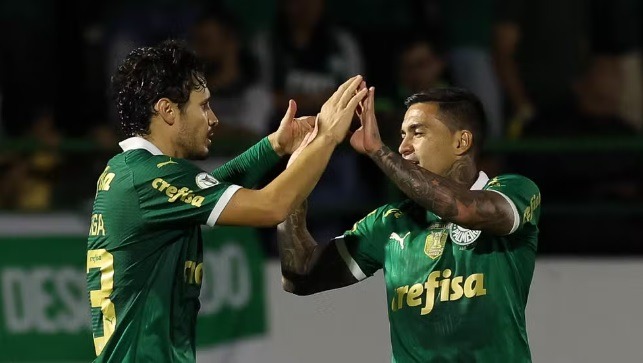 Palmeiras tem 44% de chances de título contra 40% do Botafogo em Brasileirão muito disputado; veja todos os números