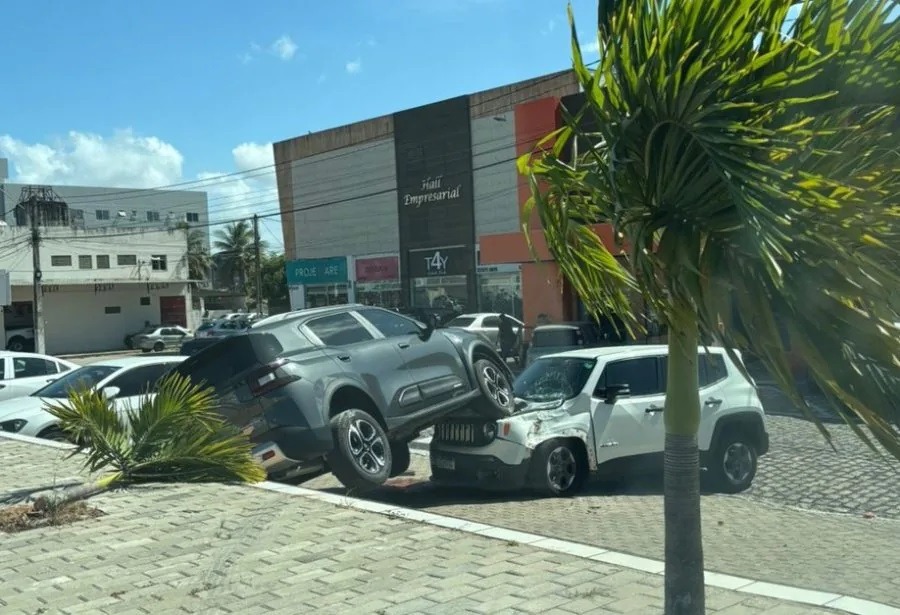 Motorista invade calçada, derruba coqueiro e termina em cima de outro carro na Grande Natal; assista