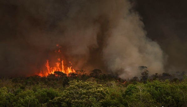 Brasil tem 22,38 milhões de hectares atingidos pelo fogo em nove meses