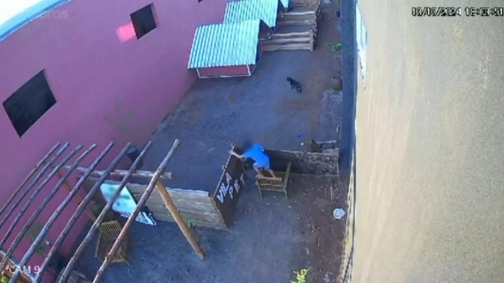 VÍDEO: Criança de 9 anos invade hospital veterinário e mata 23 animais