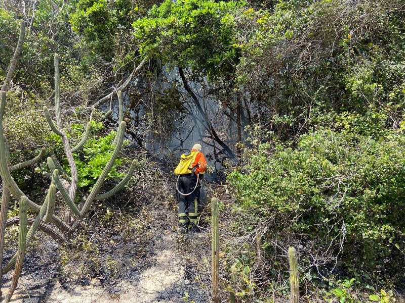 Incêndio criminoso é identificado no Parque das Dunas