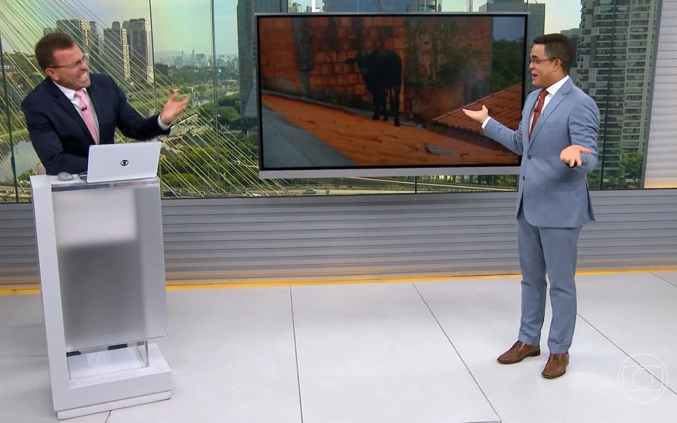 Jornalistas têm crise de riso ao vivo na Globo com notícia inusitada