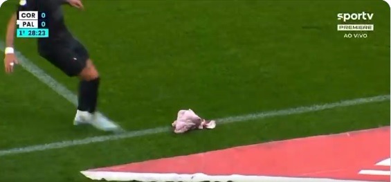 Cabeça de porco é arremessada em campo durante Corinthians x Palmeiras