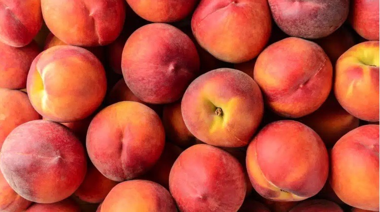 Se você tem problemas de digestão, esta fruta pode te ajudar
