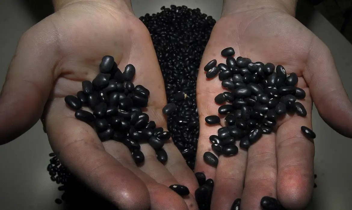 Feijão geneticamente modificado é criado para inibir gases