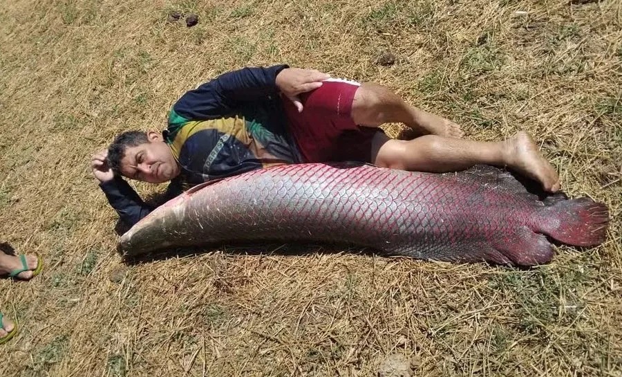 Pescadores capturam peixe de 1,5 metro e 45 kg em açude no RN