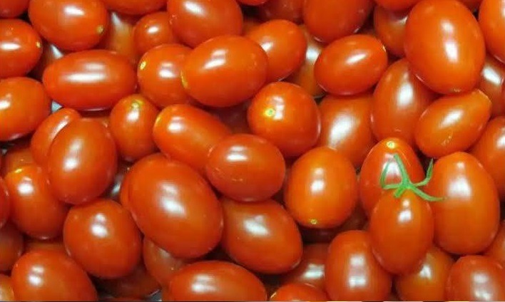 Altas de tomate e óleo de soja aumentam preço da cesta básica em 3% em Natal