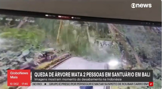 VÍDEO: Queda de árvore gigante mata turistas em Bali, na Indonésia