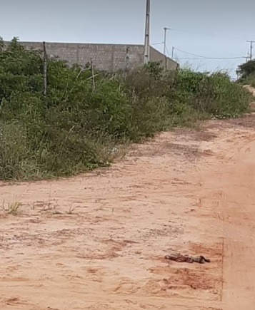 Mulher condenada por envolvimento em assalto e tentativa de assassinato de motorista por aplicativo é presa na Grande Natal