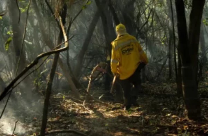 Amazônia tem o maior número de queimadas e incêndios em 17 anos