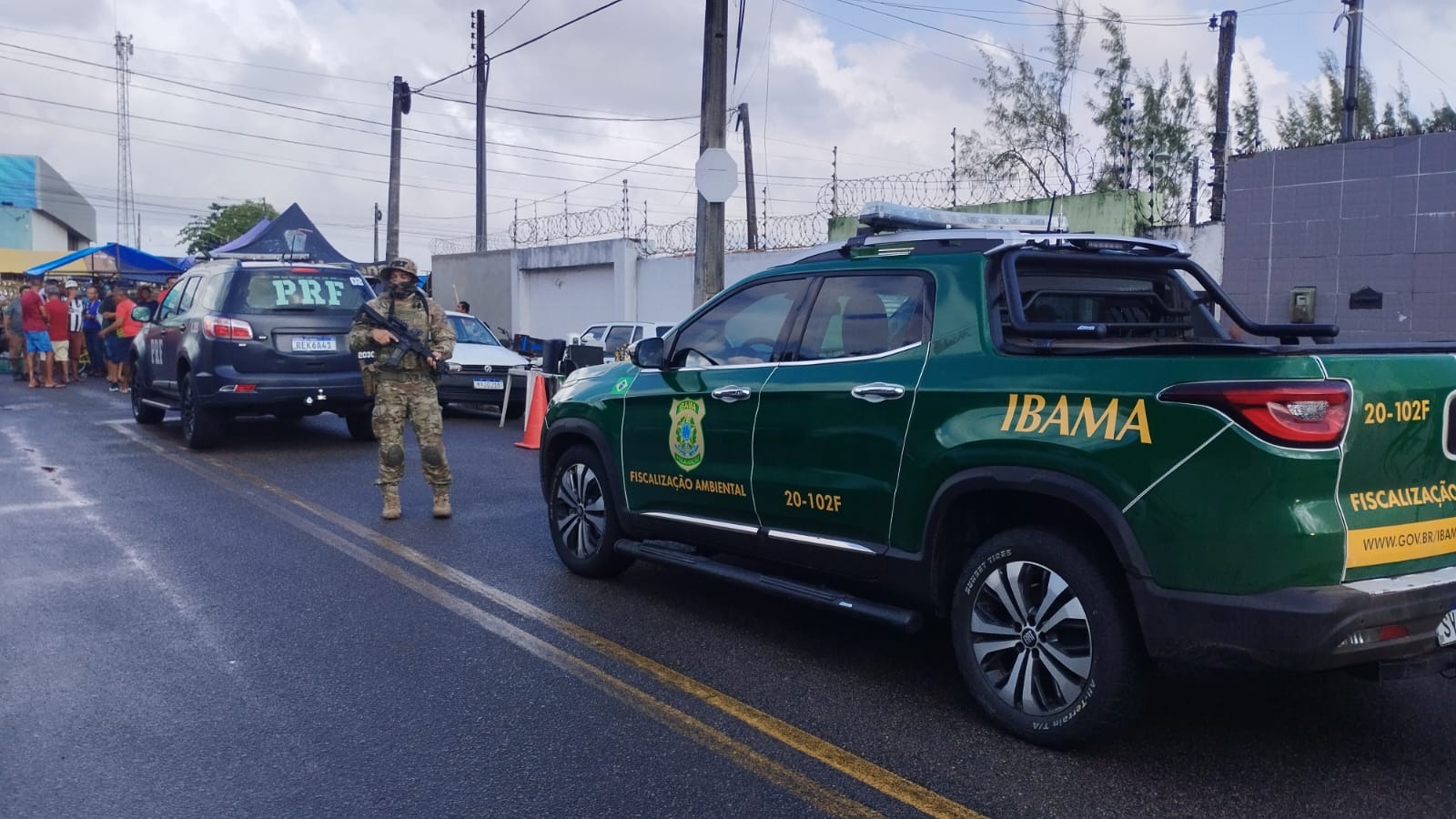 Operação resgata 95 aves em Natal, incluindo espécies ameaçadas de extinção