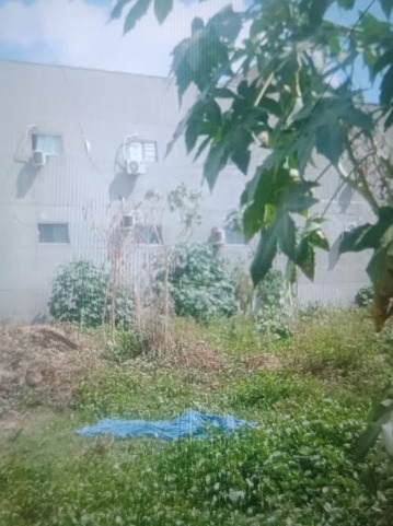 Homem morre afogado após cair em lagoa no interior do RN