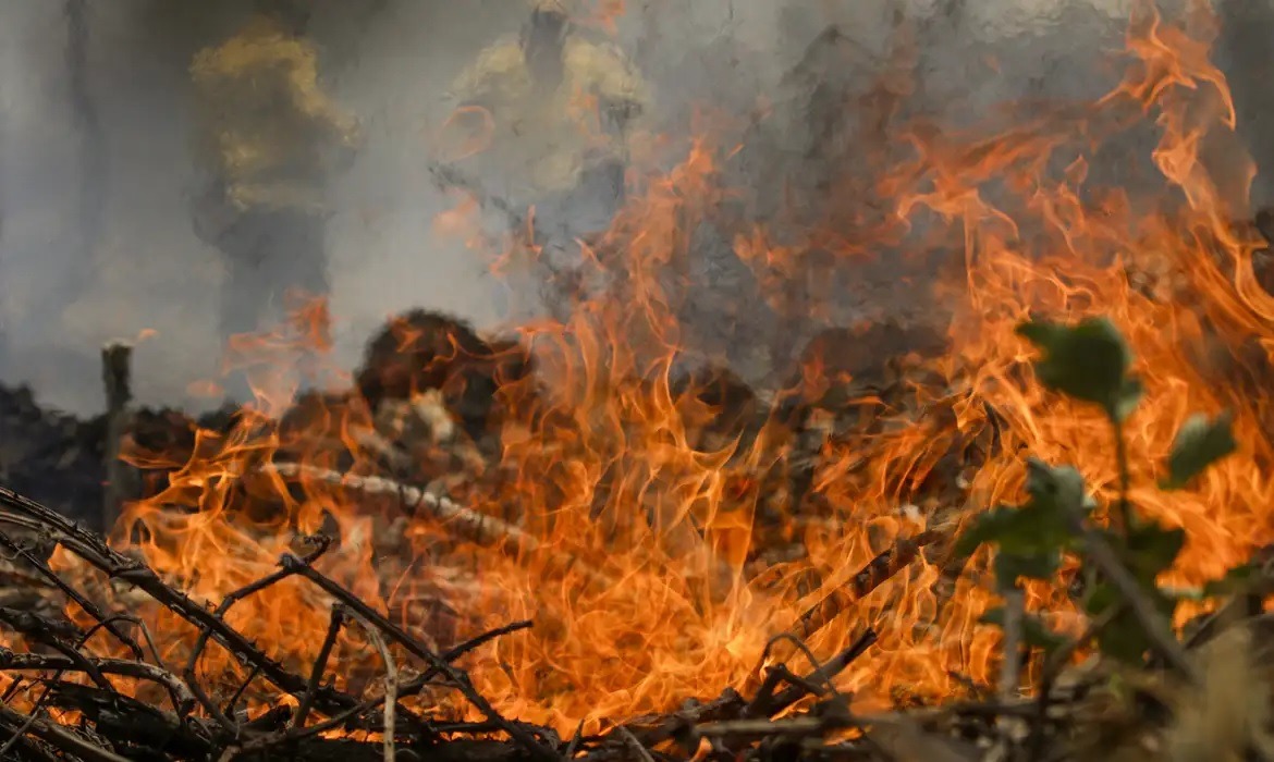 Incêndios na Amazônia cresceram 10% no governo Lula
