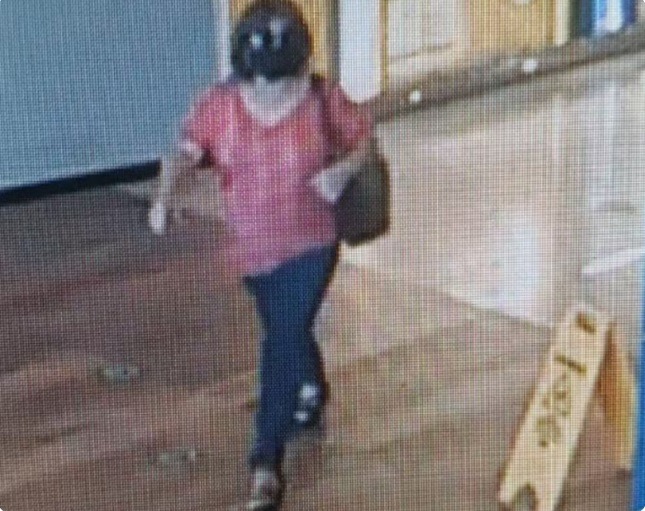 Suspeita de aplicar golpes contra idosos em shoppings de Aracaju é presa no Rio Grande do Norte