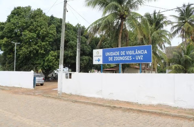 Parnamirim inicia vacinação de cães e gatos após identificar morcego com raiva