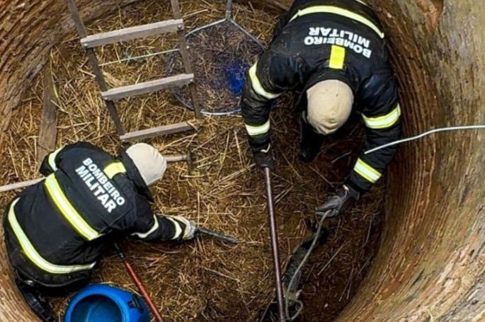 Raposa presa em poço é salva pelo Corpo de Bombeiros em zona rural do RN