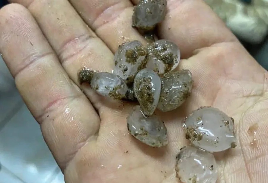 VÍDEO: Chuva de granizo atinge zona rural de Lagoa Nova