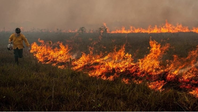 Área queimada no Brasil cresce 79% em 2024, diz MapBiomas