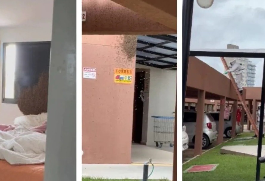 VÍDEO: Família é surpreendida com enxame de abelhas dentro de apartamento em Natal