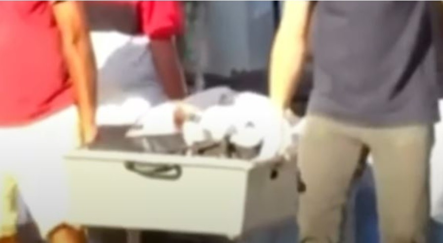 Trabalhador morre após cair de equipamento enquanto fazia manutenção em janela de prédio em Natal