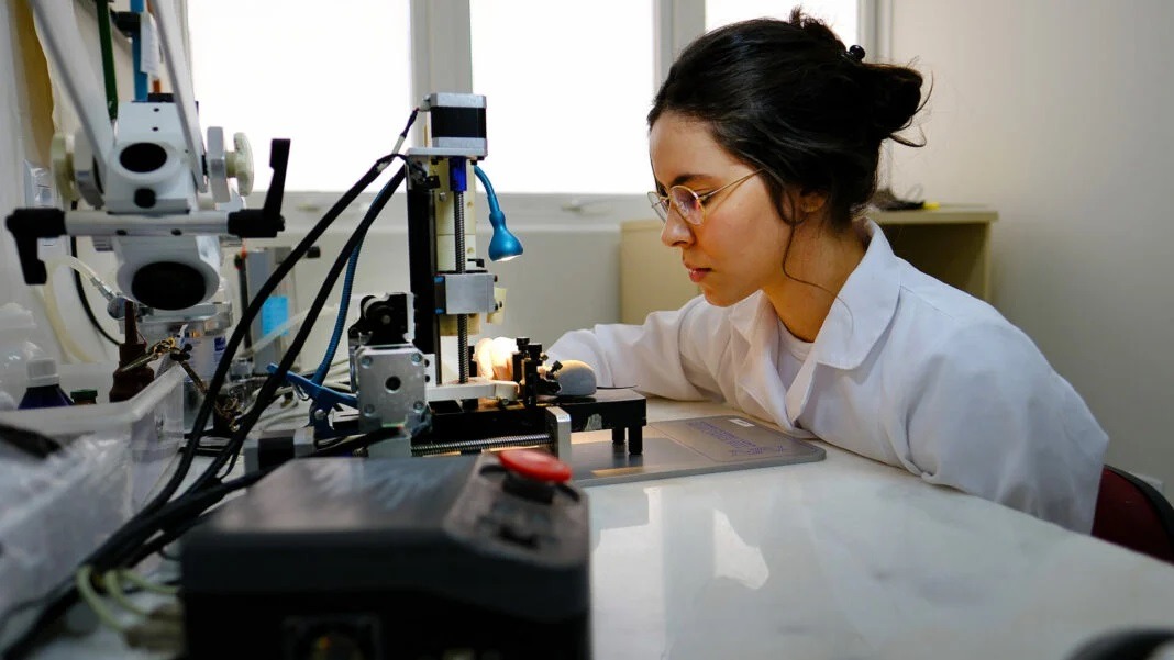 Robô desenvolvido na UFRN promete avanço em cirurgias experimentais no cérebro
