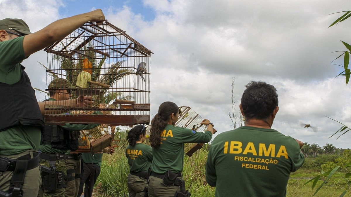 Ibama: Inscrições para concurso com 460 vagas e salários de até R$ 9,9 mil terminam hoje