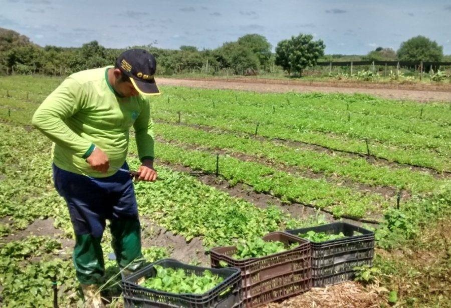 Governo do RN atrasa repasse do Garantia Safra e afeta 30 mil agricultores atingidos por seca e chuva