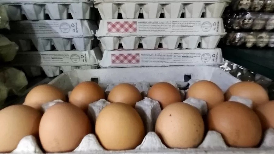 Ovo já beira os R$ 30 em Natal e preço ainda deve subir, diz economista