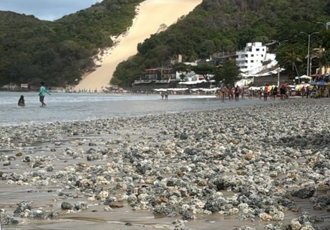 Escolha de empresa para limpeza da engorda de Ponta Negra está empatada em R$ 67 mil