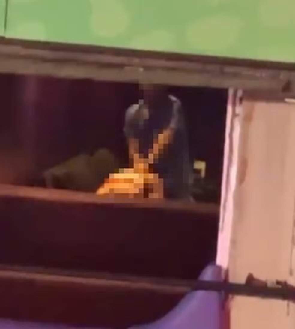 Vídeo de casal fazendo sexo em camarote da Sapucaí viraliza