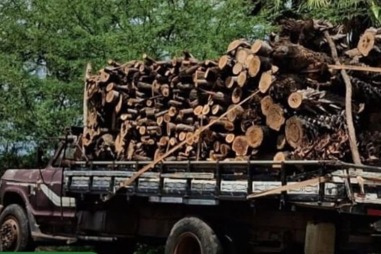 Caminhão é flagrado fazendo transporte ilegal de madeira nativa em Ipanguaçu