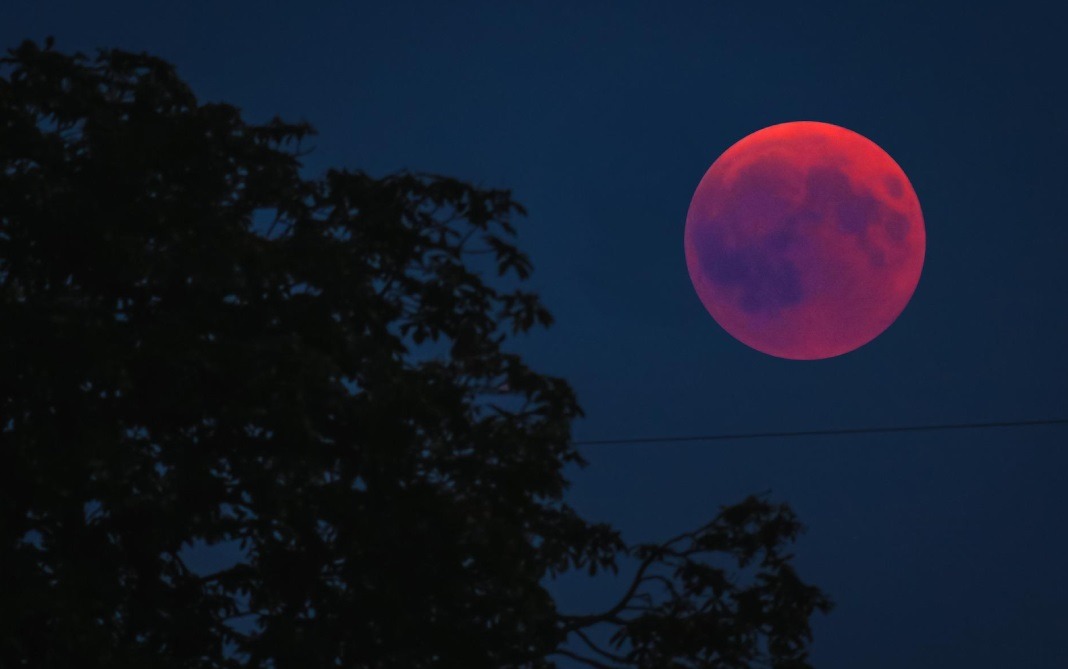 ‘Lua de Sangue’: Eclipse total da Lua acontece na madrugada de sexta-feira; saiba como acompanhar