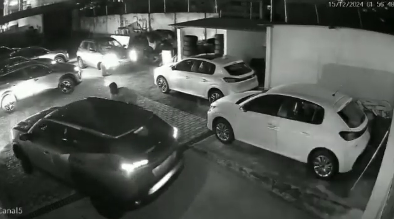 Polícia prende nove pessoas por roubo de carros 0 km em concessionária em Natal
