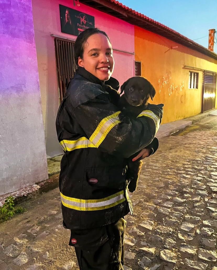 Bombeiros do resgatam filhote de cachorro durante incêndio residencial em Tibau