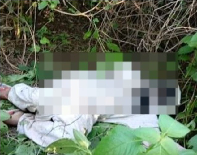 Homem sai para tirar mel de abelhas e é encontrado morto em mata do RN
