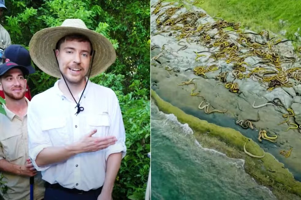 Maior youtuber do mundo visita lugares mortais e elege ilha em SP como o pior de todos