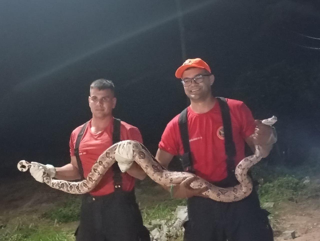 Jiboia com mais de dois metros é capturada em comunidade de Acari