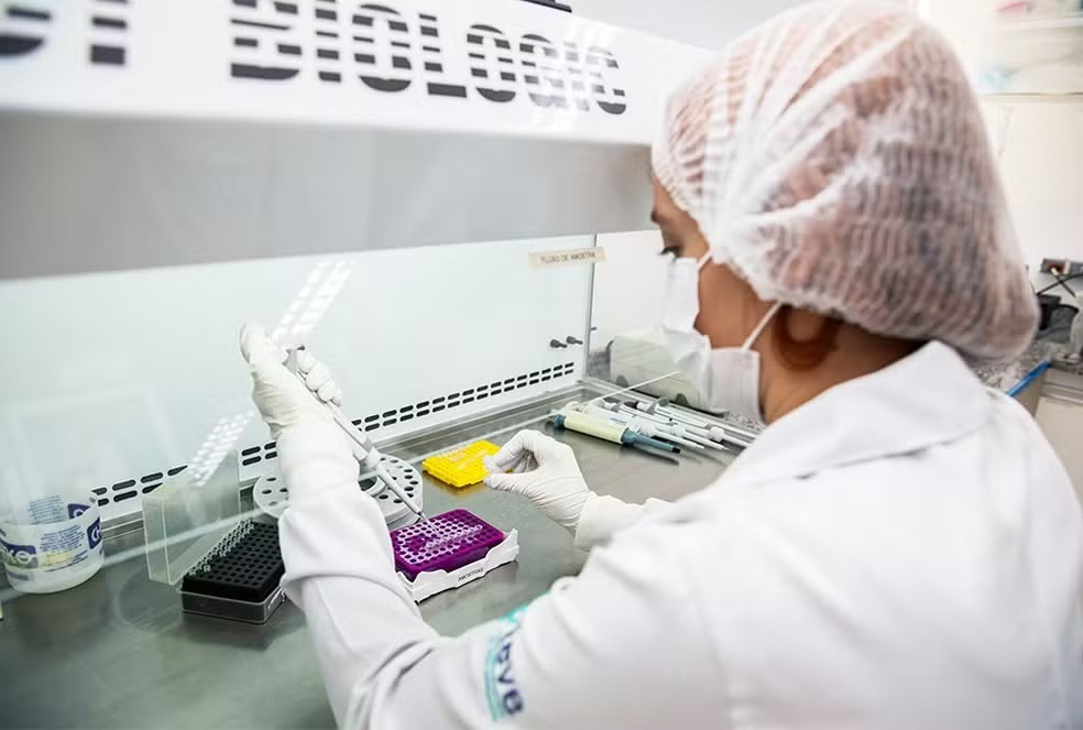 Anvisa aprova registro de vacina contra chikungunya do Instituto Butantan