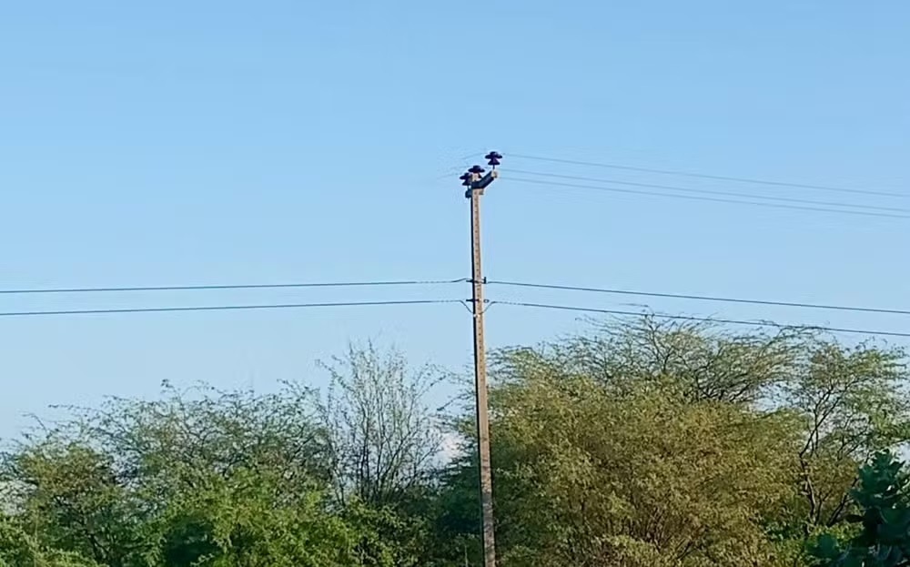 Polícia cumpre 14 mandados e autua suspeito em flagrante durante investigação sobre furtos de fios elétricos no RN