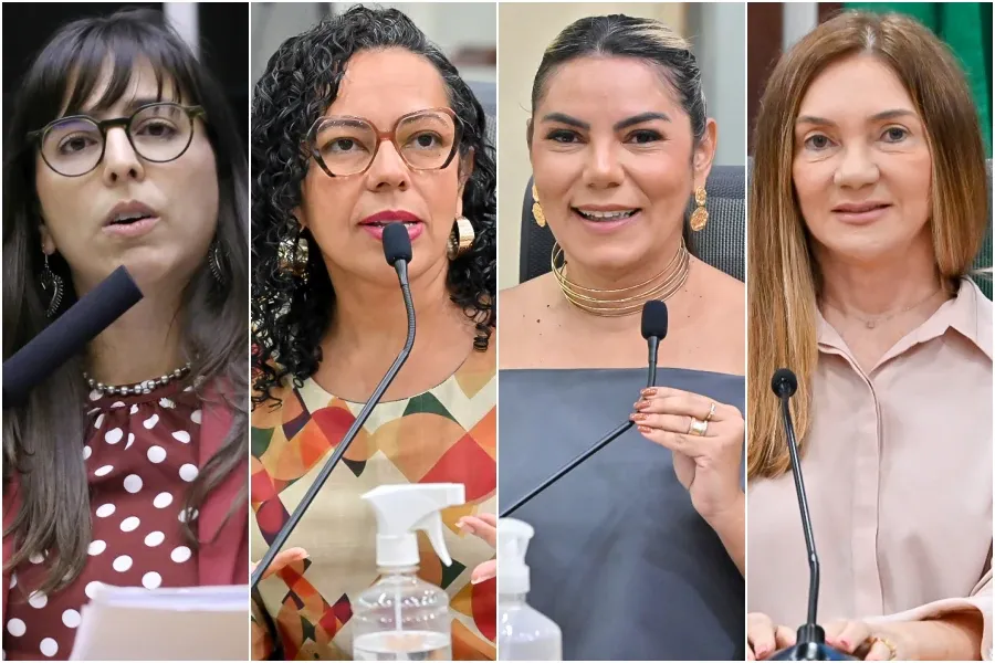 Deputadas do RN defendem cota para eleição de mulheres; projeto prevê reserva de 20% das vagas