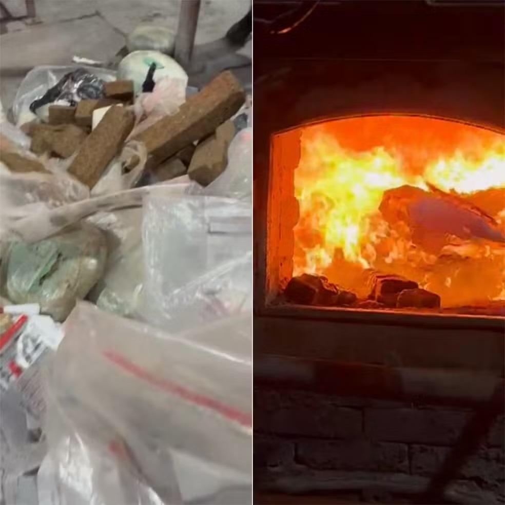 Maconha, cocaína, cogumelos e mais: polícia incinera mais de 100 kg de drogas apreendidas na Região Oeste