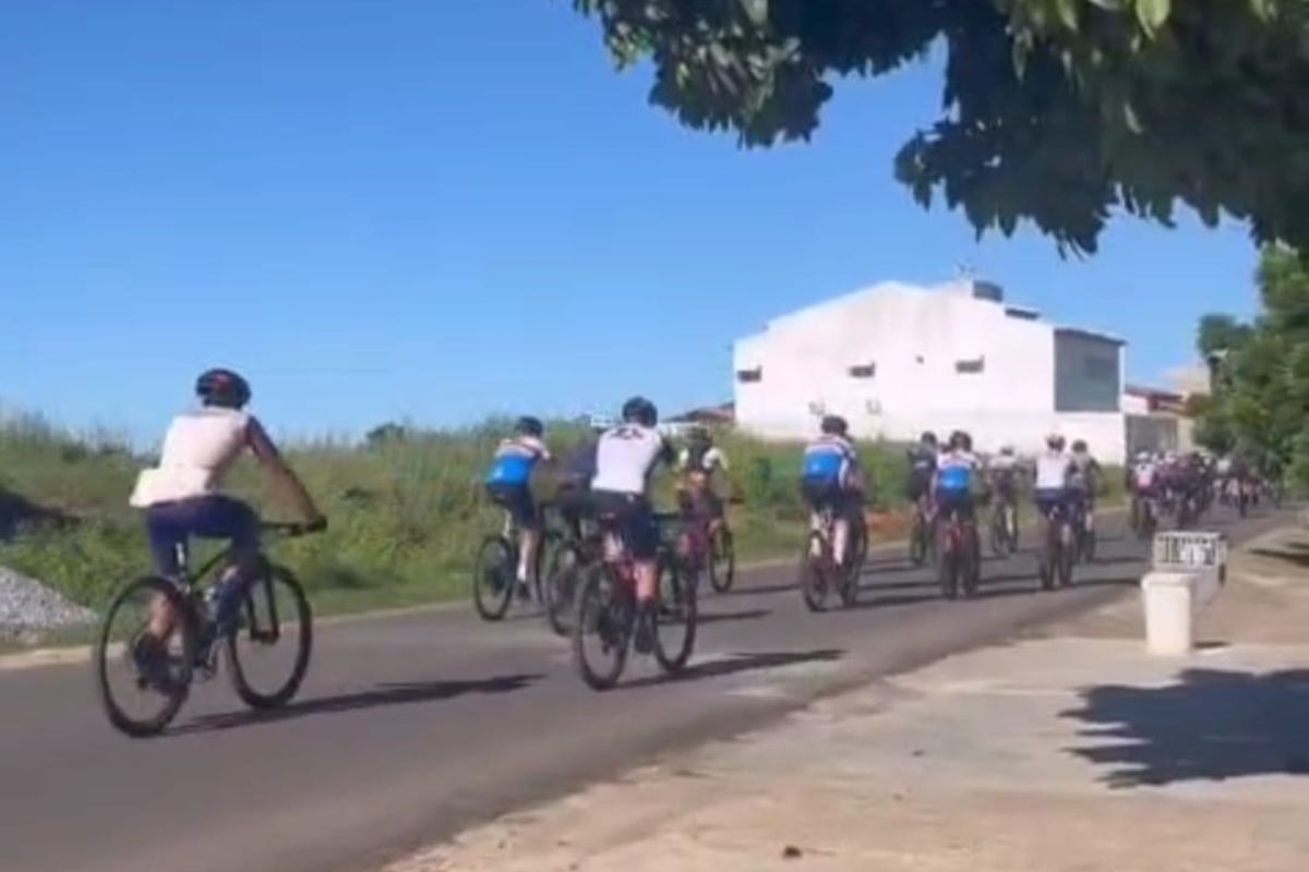 Ataque de abelhas atinge ciclistas em competição no RN