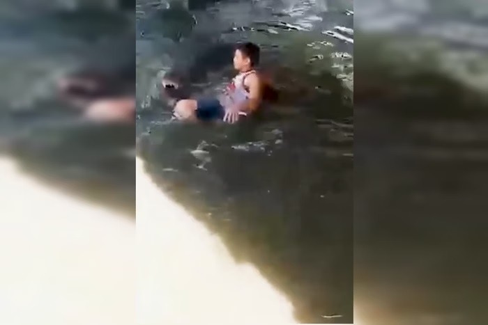 VÍDEO: Turista confunde crocodilo de 4,5 m com estátua e é atacado; assista