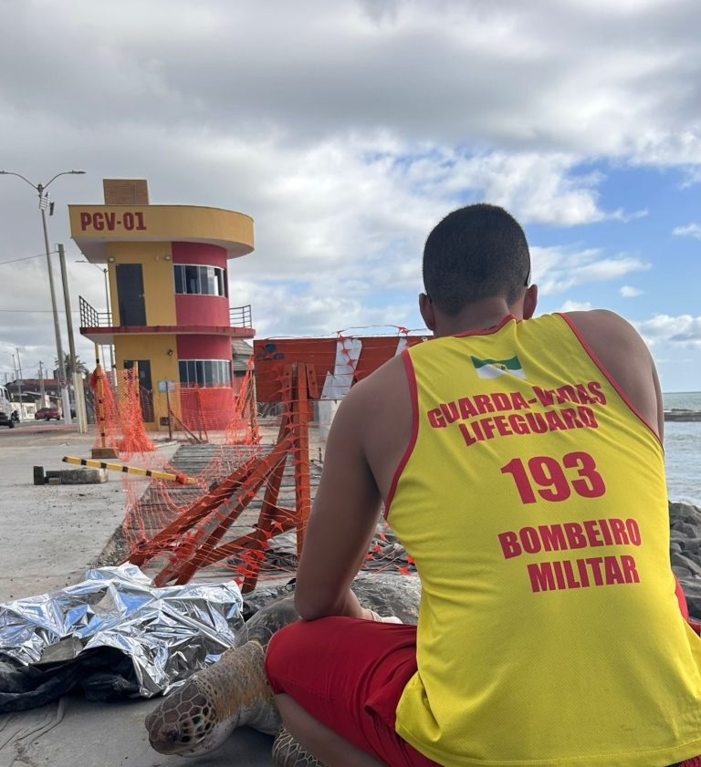 Bombeiros do RN resgatam tartaruga marinha encalhada na Praia do Meio
