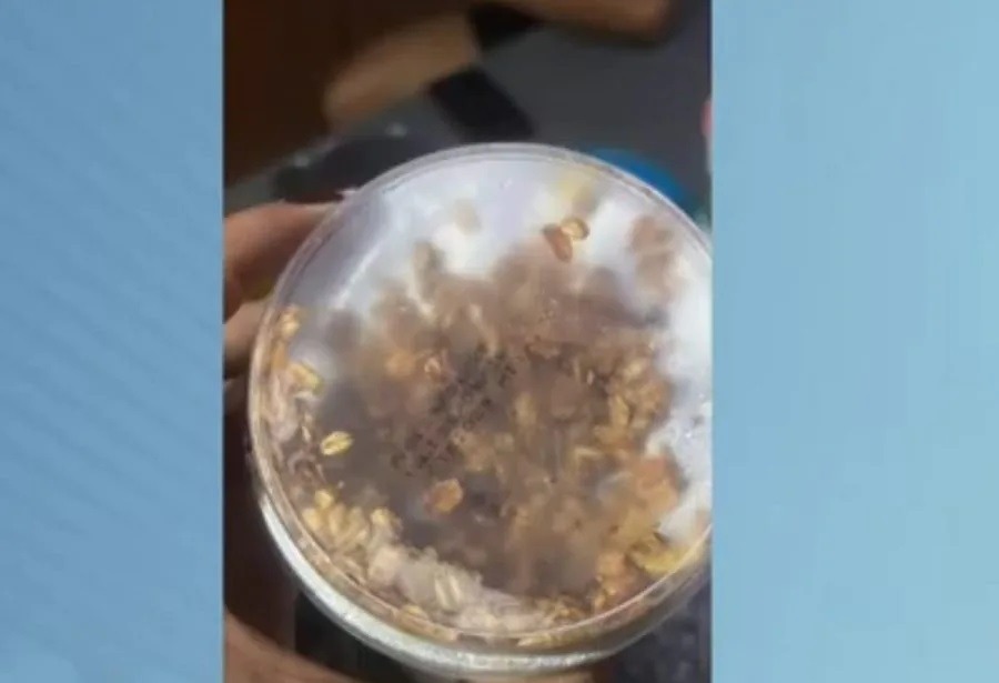 Açaí que matou bebê de oito meses em Natal foi envenenado com chumbinho, aponta laudo