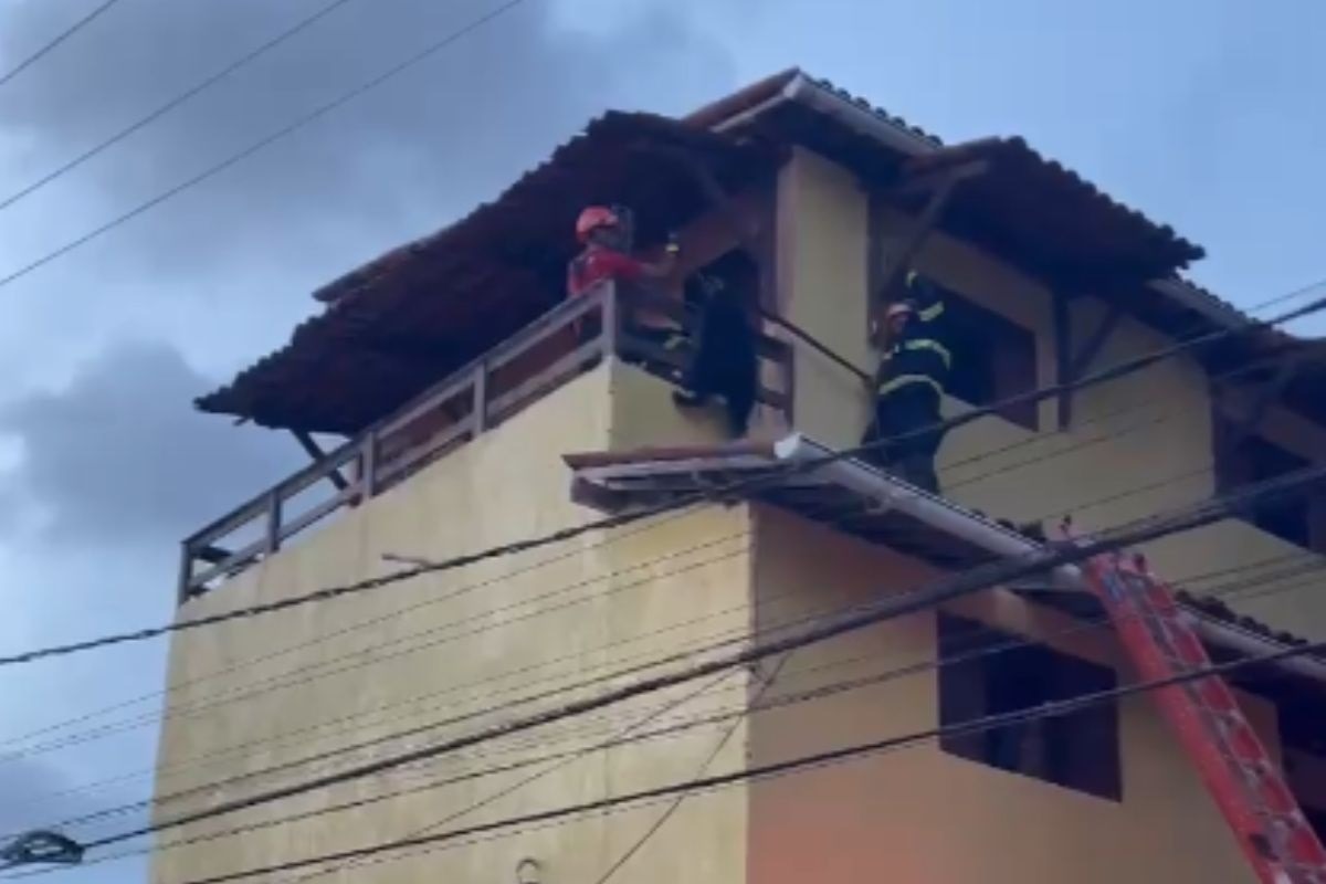 Cachorro fica preso em telhado e é resgatado por Bombeiros em Ponta Negra